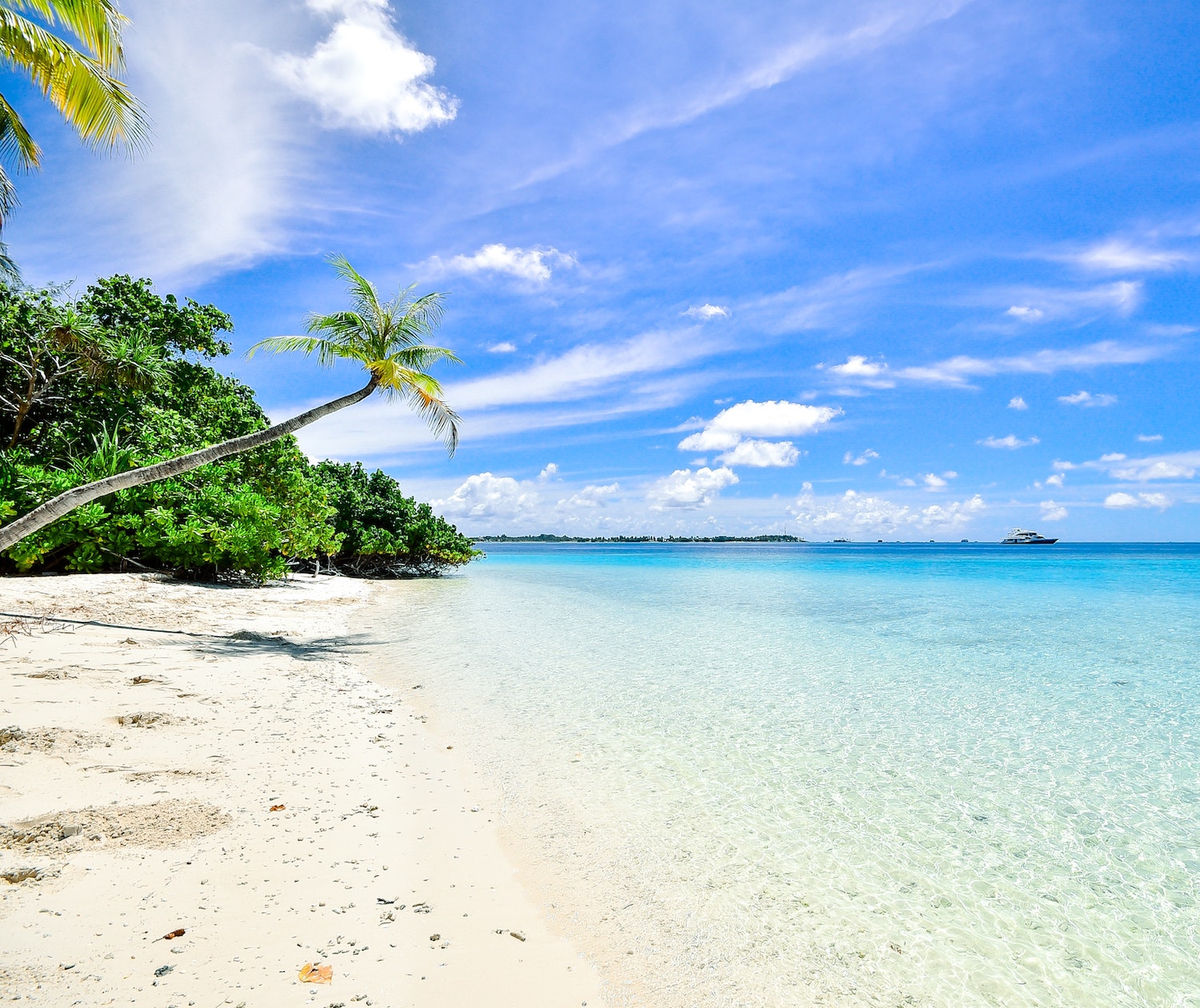 Read more about the article 100+ Beach Quotes & Captions: Short, Funny, Inspirational