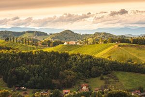 Read more about the article 13 Best Vineyard Hotels in Tuscany, Italy: 2023 Guide