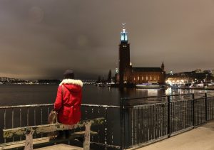 Read more about the article What to do in Stockholm in Winter: Attractions & Where to Stay