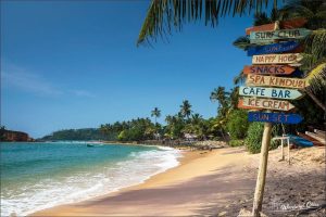 Read more about the article Where To Stay In Mirissa, Sri Lanka: Budget to Luxury (2024)