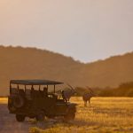 Luxury Safari Guide: What to Expect from the World’s Best Lodges